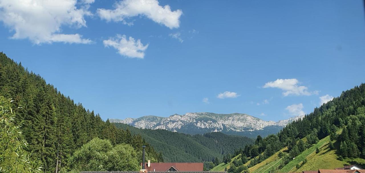 Hotel Alegria - Moieciu De Sus Moeciu De Sus Exterior foto
