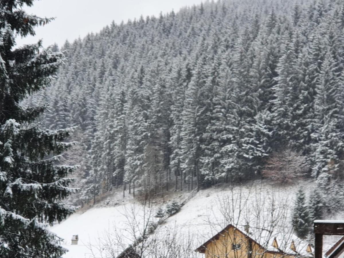 Hotel Alegria - Moieciu De Sus Moeciu De Sus Exterior foto