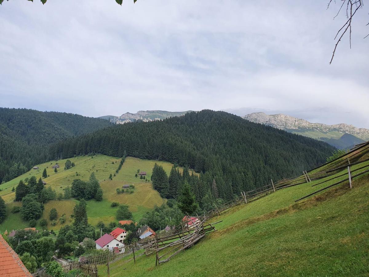 Hotel Alegria - Moieciu De Sus Moeciu De Sus Exterior foto